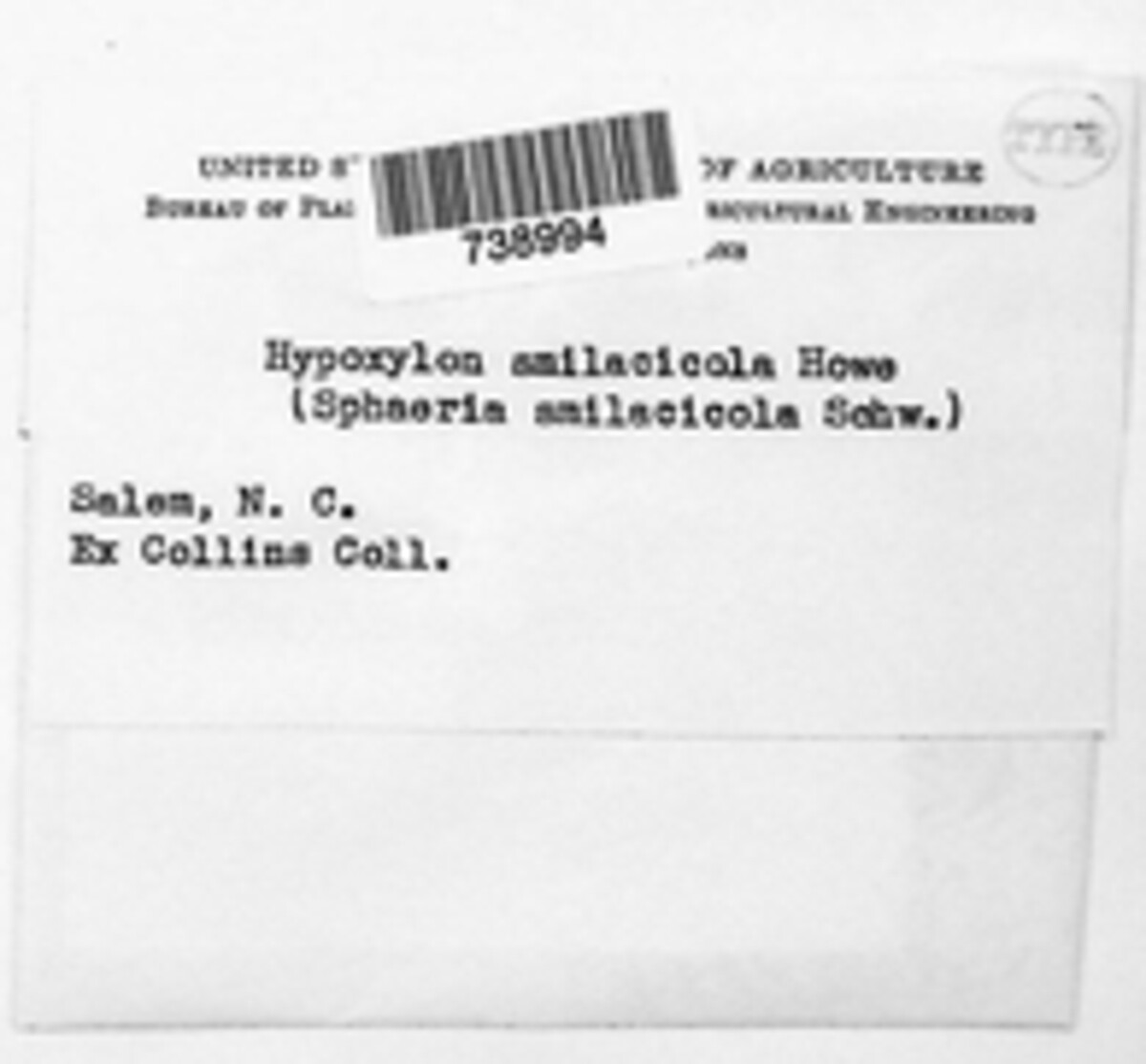 Hypoxylon smilacicola image
